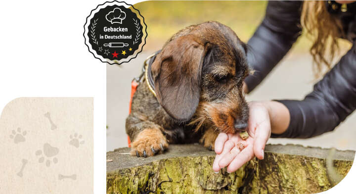 hoeveler dog leckerli teaser hoeveler dog leckerli teaser